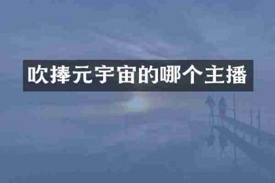 吹捧元宇宙的哪个主播