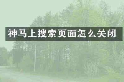 神马上搜索页面怎么关闭