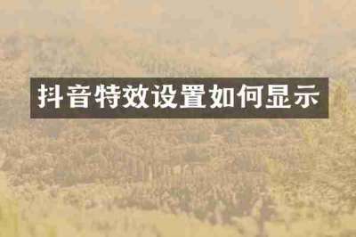 抖音特效设置如何显示