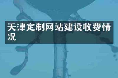 天津定制网站建设收费情况
