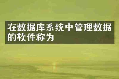 在数据库系统中管理数据的软件称为