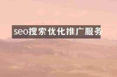 seo搜索优化推广服务