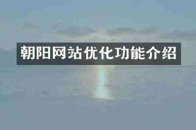 朝阳网站优化功能介绍