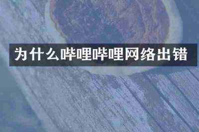 为什么哔哩哔哩网络出错