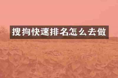 搜狗快速排名怎么去做
