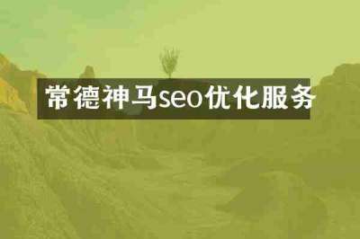 常德神马seo优化服务
