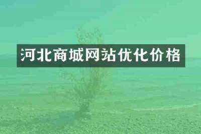 河北商城网站优化价格