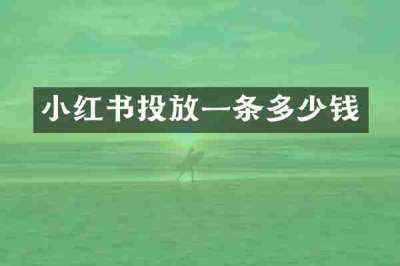 小红书投放一条多少钱