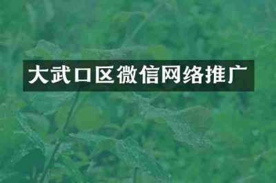 大武口区微信网络推广