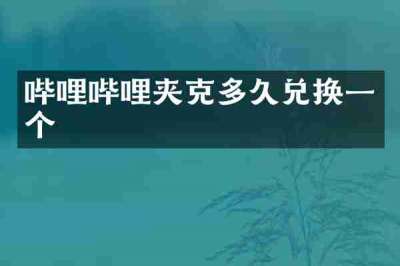 哔哩哔哩夹克多久兑换一个