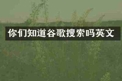 你们知道谷歌搜索吗英文