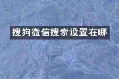 搜狗微信搜索设置在哪