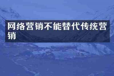 网络营销不能替代传统营销