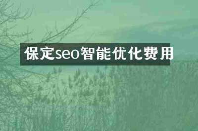 保定seo智能优化费用