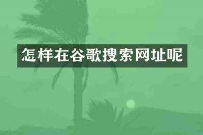 怎样在谷歌搜索网址呢