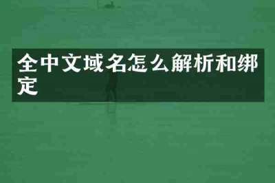 全中文域名怎么解析和绑定