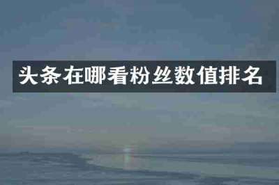 头条在哪看粉丝数值排名