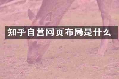 知乎自营网页布局是什么
