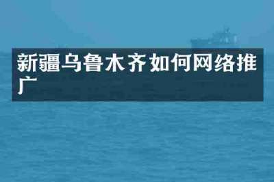 新疆乌鲁木齐如何网络推广