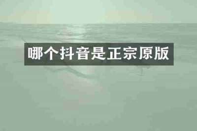 哪个抖音是正宗原版