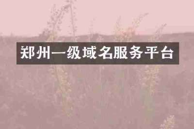 郑州一级域名服务平台