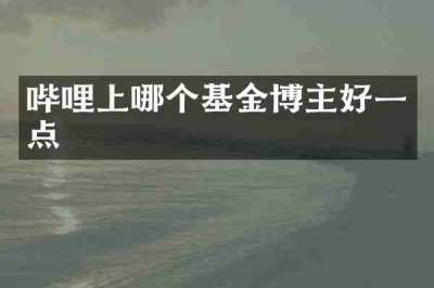 哔哩上哪个基金博主好一点