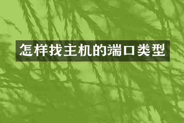 怎样找主机的端口类型