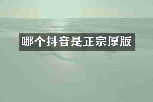 哪个抖音是正宗原版