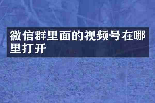 微信群里面的视频号在哪里打开