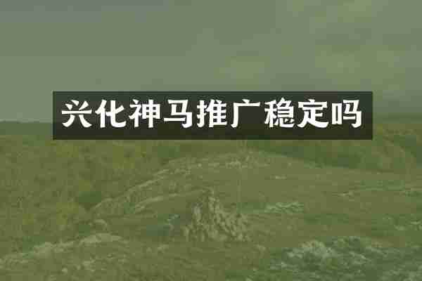 兴化神马推广稳定吗