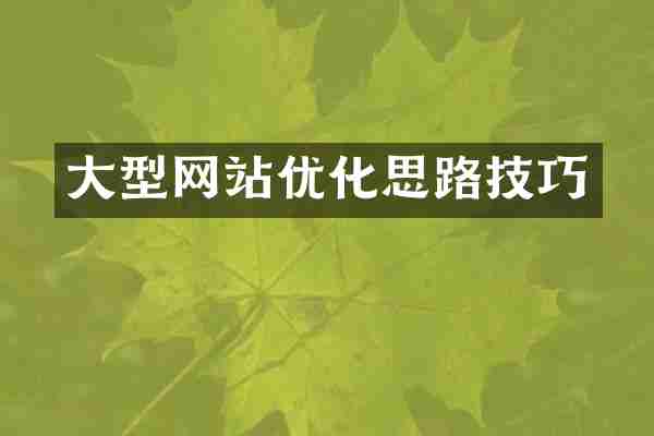 大型网站优化思路技巧