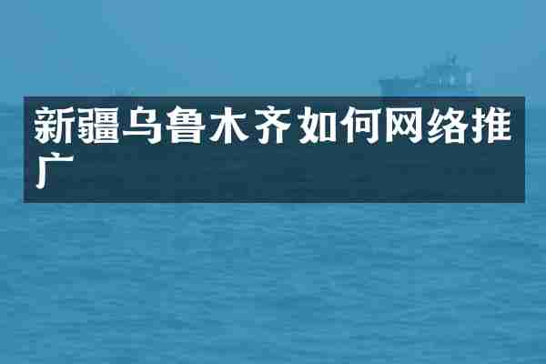 新疆乌鲁木齐如何网络推广