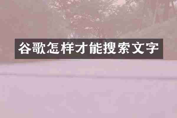 谷歌怎样才能搜索文字