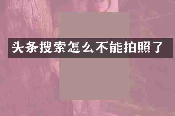 头条搜索怎么不能拍照了