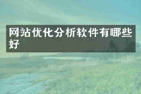 网站优化分析软件有哪些好