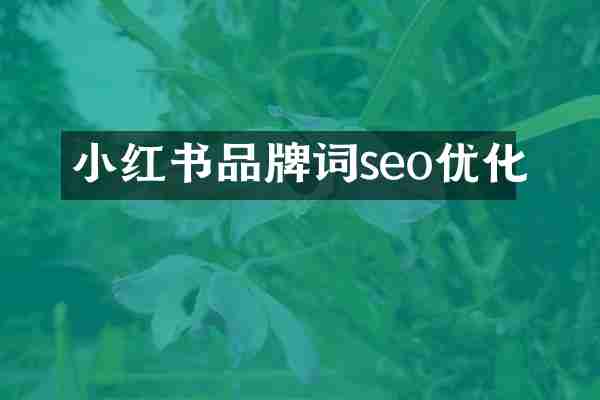 小红书品牌词seo优化