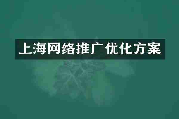 上海网络推广优化方案