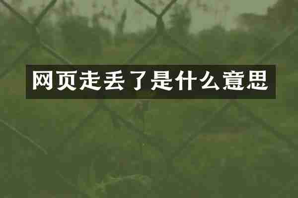 网页走丢了是什么意思