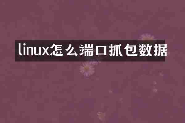 linux怎么端口抓包数据
