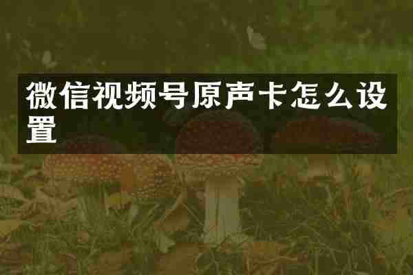微信视频号原声卡怎么设置
