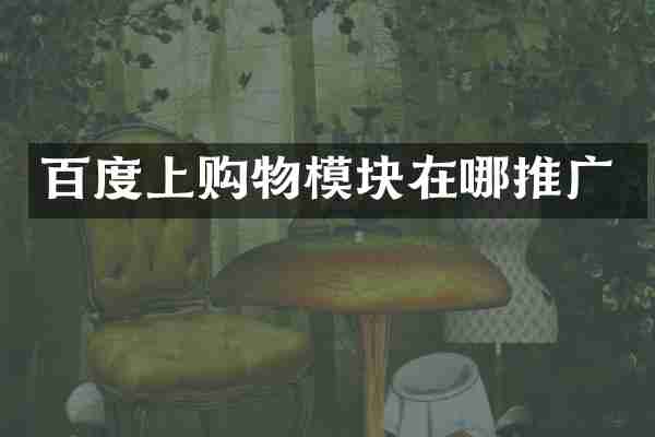 百度上购物模块在哪推广