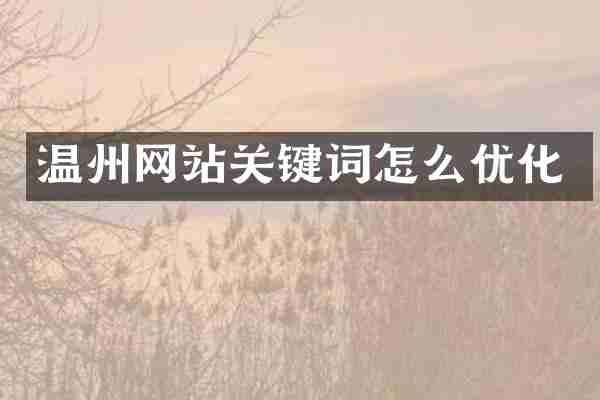 温州网站关键词怎么优化