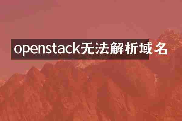 openstack无法解析域名