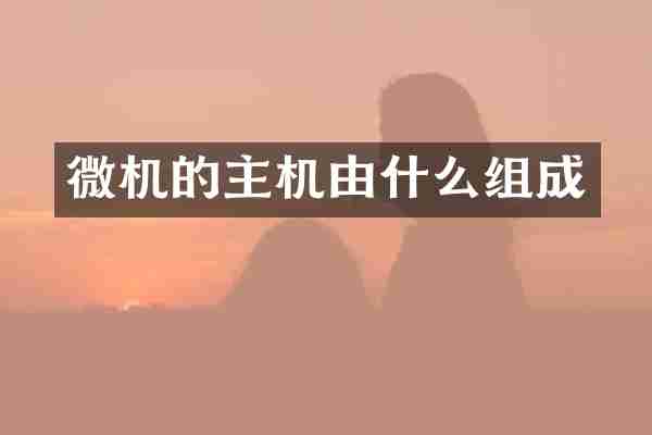 微机的主机由什么组成