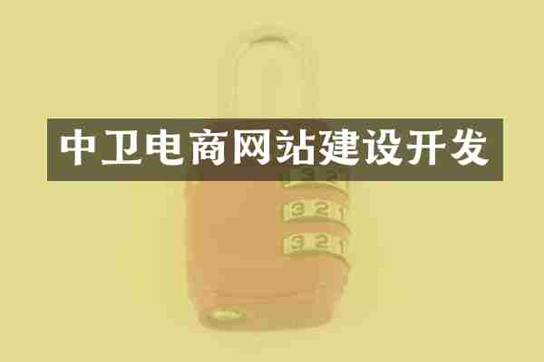 中卫电商网站建设开发