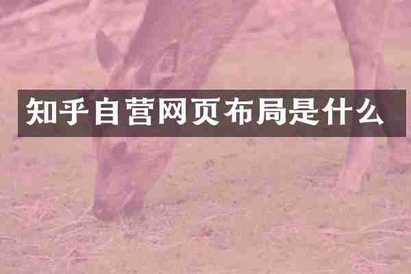 知乎自营网页布局是什么