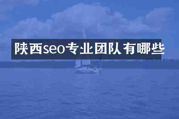 陕西seo专业团队有哪些