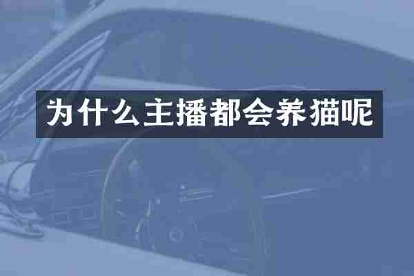 为什么主播都会养猫呢