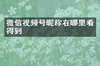 微信视频号昵称在哪里看得到