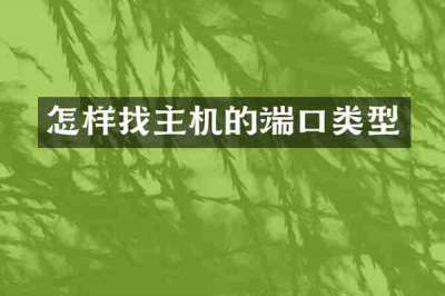 怎样找主机的端口类型